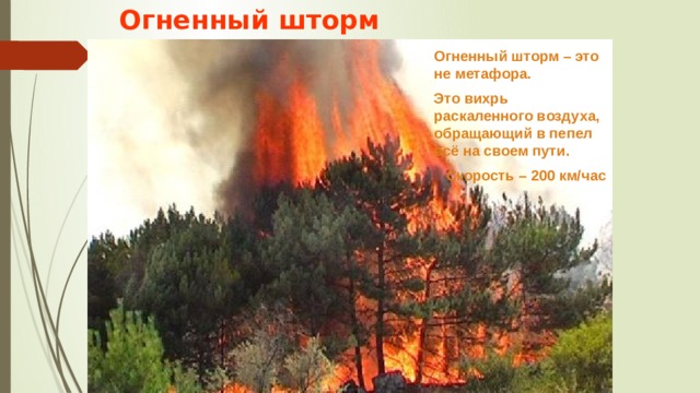 Огненный шторм Огненный шторм – это не метафора. Это вихрь раскаленного воздуха, обращающий в пепел всё на своем пути.  Скорость – 200 км/час 