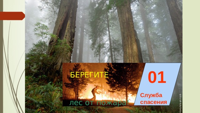 01 БЕРЕГИТЕ Служба спасения лес от пожара! 
