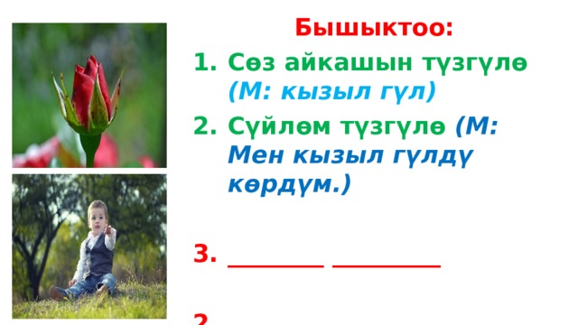 Бышыктоо: Сөз айкашын түзгүлө (М: кызыл гүл) Сүйлөм түзгүлө (М: Мен кызыл гүлдү көрдүм.)  ________ _________  2. ______ ___________ _________. 
