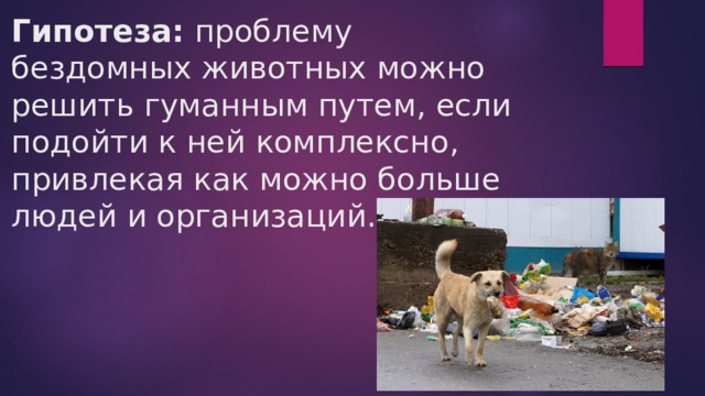 Гипотеза:  проблему бездомных животных можно решить гуманным путем, если подойти к ней комплексно, привлекая как можно больше людей и организаций.   