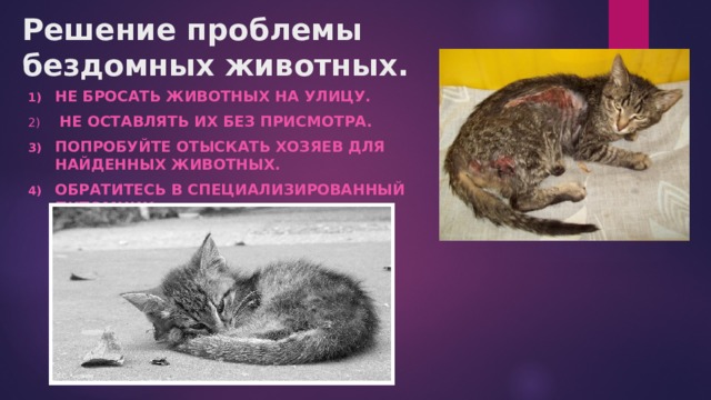 Решение проблемы бездомных животных.   Не бросать животных на улицу.    Не оставлять их без присмотра.   Попробуйте отыскать хозяев для найденных животных.  Обратитесь в специализированный питомник. 