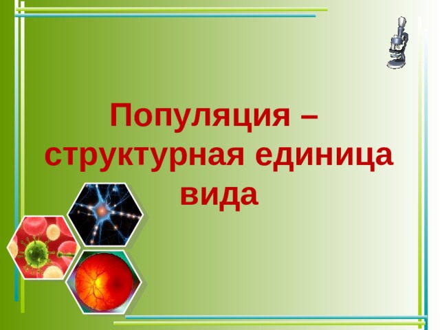 Популяция –  структурная единица вида 
