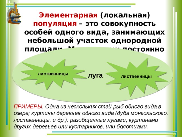 Элементарная (локальная) популяция – это совокупность особей одного вида, занимающих небольшой участок однородной площади. Между ними постоянно идет обмен генетической информацией  луга лиственницы лиственницы ПРИМЕРЫ . Одна из нескольких стай рыб одного вида в озере; куртины деревьев одного вида (дуба монгольского, лиственницы, и др.), разобщенные лугами, куртинами других деревьев или кустарников, или болотцами. 