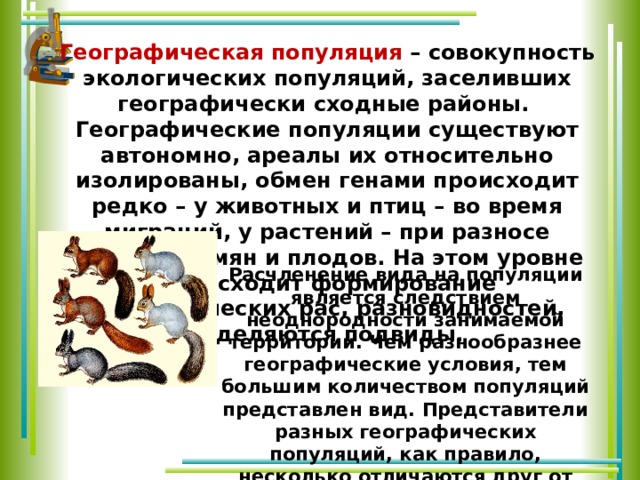 Географическая популяция – совокупность экологических популяций, заселивших географически сходные районы. Географические популяции существуют автономно, ареалы их относительно изолированы, обмен генами происходит редко – у животных и птиц – во время миграций, у растений – при разносе пыльцы, семян и плодов. На этом уровне происходит формирование географических рас, разновидностей, выделяются подвиды. Расчленение вида на популяции является следствием неоднородности занимаемой территории. Чем разнообразнее географические условия, тем большим количеством популяций представлен вид. Представители разных географических популяций, как правило, несколько отличаются друг от друга морфологическими признаками приспособленности к жизни в разных условиях. 