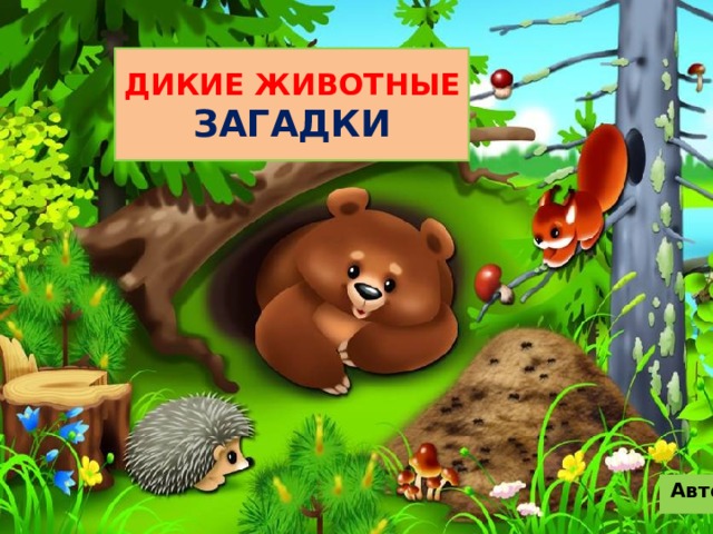 ДИКИЕ ЖИВОТНЫЕ  ЗАГАДКИ Автор: Урмеева Р.Ш. 