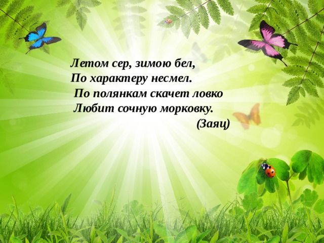Летом сер, зимою бел, По характеру несмел.  По полянкам скачет ловко  Любит сочную морковку.  (Заяц)    