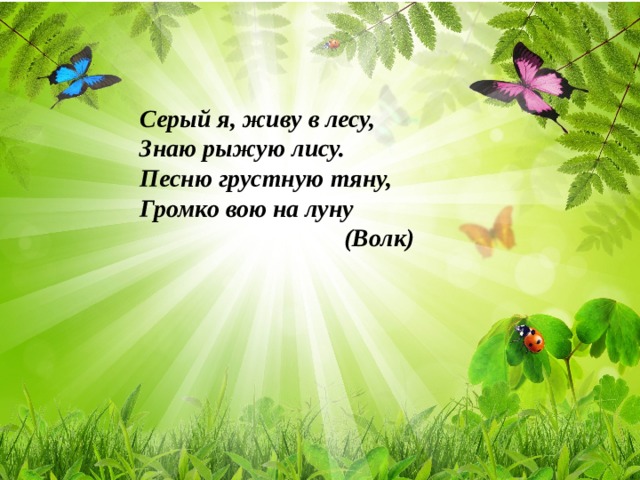 Серый я, живу в лесу, Знаю рыжую лису. Песню грустную тяну, Громко вою на луну  (Волк)    