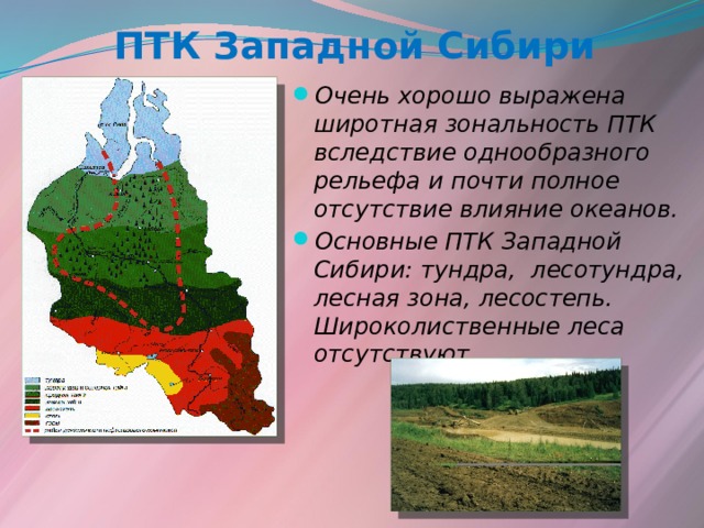 ПТК Западной Сибири Очень хорошо выражена широтная зональность ПТК вследствие однообразного рельефа и почти полное отсутствие влияние океанов. Основные ПТК Западной Сибири: тундра, лесотундра, лесная зона, лесостепь. Широколиственные леса отсутствуют. 
