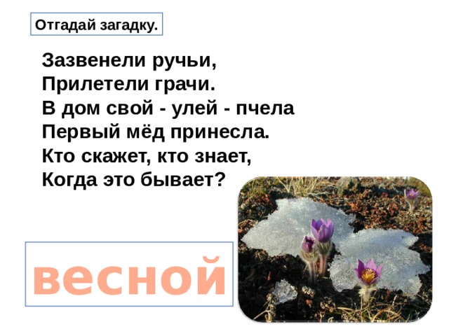 Отгадай загадку. Зазвенели ручьи, Прилетели грачи. В дом свой - улей - пчела Первый мёд принесла. Кто скажет, кто знает, Когда это бывает? весной 