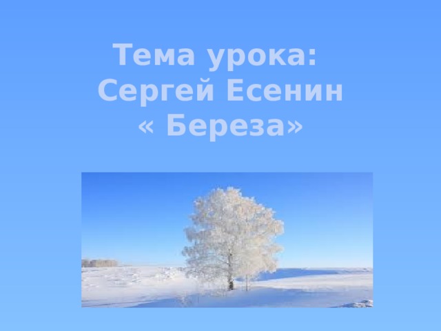 Тема урока: Сергей Есенин « Береза» 