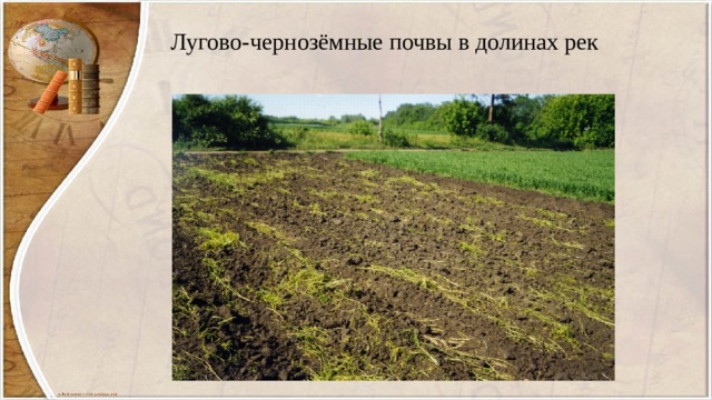 Лугово-чернозёмные почвы в долинах рек 