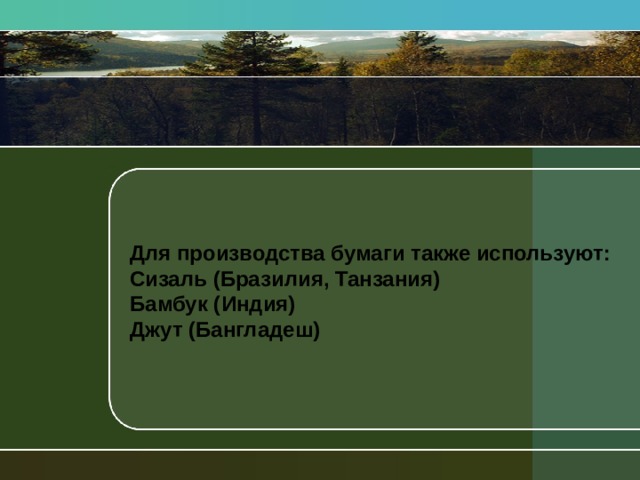  Для производства бумаги также используют: Сизаль (Бразилия, Танзания) Бамбук (Индия) Джут (Бангладеш) 