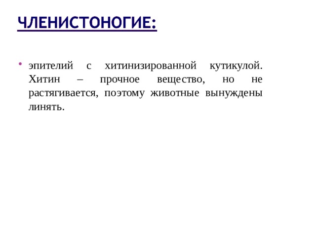 эпителий с хитинизированной кутикулой. Хитин – прочное вещество, но не растягивается, поэтому животные вынуждены линять. 