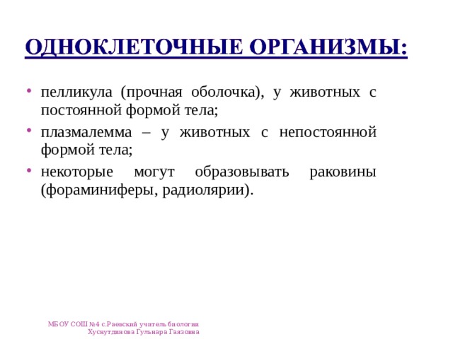 пелликула (прочная оболочка), у животных с постоянной формой тела; плазмалемма – у животных с непостоянной формой тела; некоторые могут образовывать раковины (фораминиферы, радиолярии). МБОУ СОШ №4 с.Раевский учитель биологии Хуснутдинова Гульнара Гаязовна 