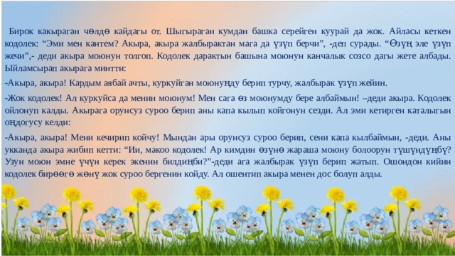  Бирок какыраган чɵлдɵ кайдагы от. Шыгыраган кумдан башка серейген куурай да жок. Айласы кеткен кодолек: “Эми мен кантем? Акыра, акыра жалбырактан мага да үзүп берчи”, -деп сурады. “Ɵзүң эле үзүп жечи”,- деди акыра моюнун толгоп. Кодолек дарактын башына моюнун канчалык созсо дагы жете албады. Ыйламсырап акырага минтти: -Акыра, акыра! Кардым аябай ачты, куркуйган моюнуңду берип турчу, жалбырак үзүп жейин. -Жок кодолек! Ал куркуйса да менин моюнум! Мен сага ɵз моюнумду бере албаймын! –деди акыра. Кодолек ойлонуп калды. Акырага орунсуз суроо берип аны капа кылып койгонун сезди. Ал эми кетирген каталыгын оңдогусу келди: -Акыра, акыра! Мени кечирип койчу! Мындан ары орунсуз суроо берип, сени капа кылбаймын, -деди. Аны укканда акыра жибип кетти: “Ии, макоо кодолек! Ар кимдин ɵзүнɵ жараша моюну болоорун түшүндүңбү? Узун моюн эмне үчүн керек экенин билдиңби?”-деди ага жалбырак үзүп берип жатып. Ошондон кийин кодолек бирɵɵгɵ жɵнү жок суроо бергенин койду. Ал ошентип акыра менен дос болуп алды. 