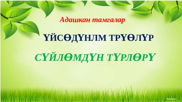 Адашкан тамгалар ҮЙСƟДҮНЛМ ТРҮƟЛҮР СҮЙЛƟМДҮН ТҮРЛƟРҮ 