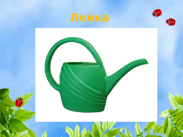 Лейка 