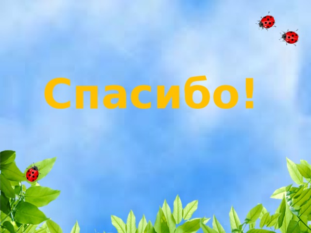 Спасибо! 