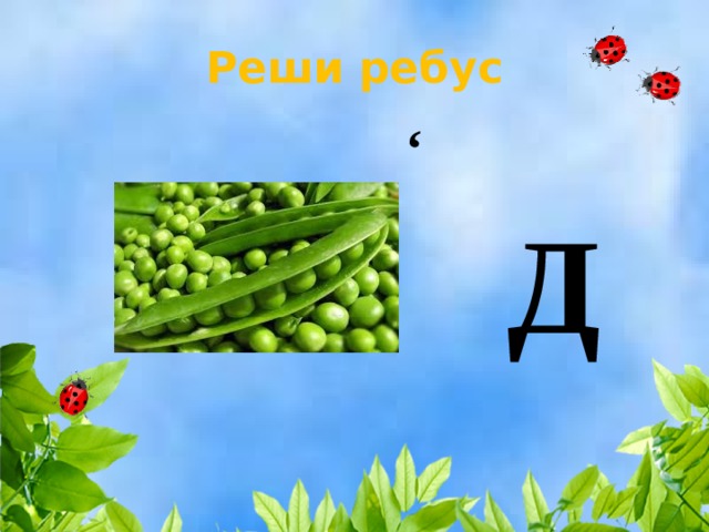 Реши ребус ‘ Д 