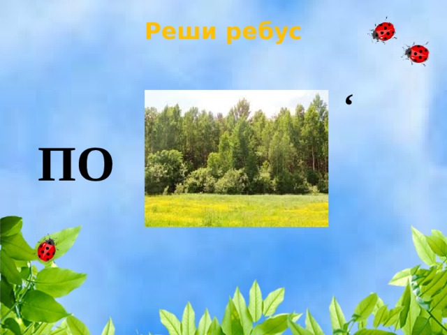 Реши ребус   ‘ ПО 