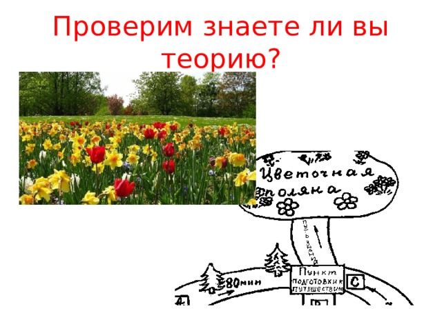 Проверим знаете ли вы теорию? 