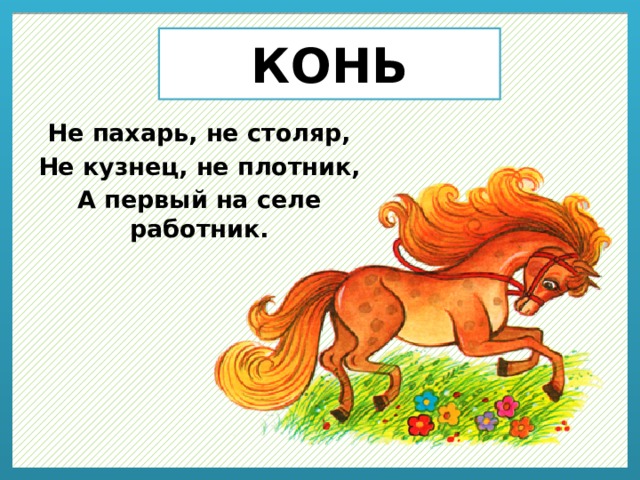 КОНЬ Не пахарь, не столяр, Не кузнец, не плотник, А первый на селе работник. 