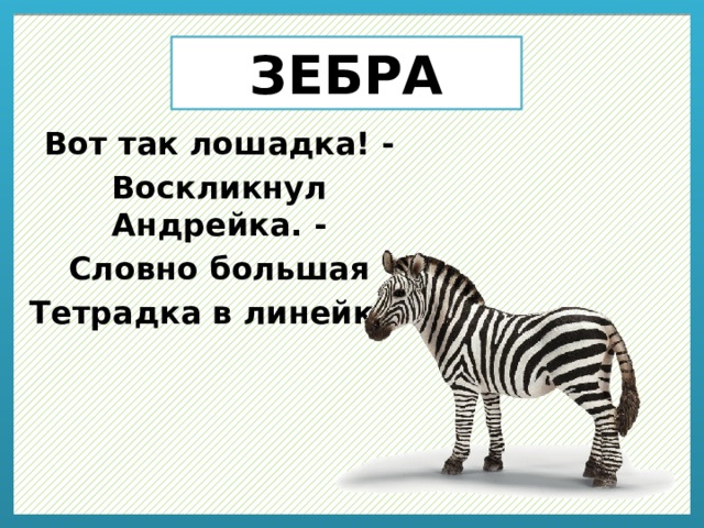 ЗЕБРА Вот так лошадка! - Воскликнул Андрейка. - Словно большая Тетрадка в линейку! 