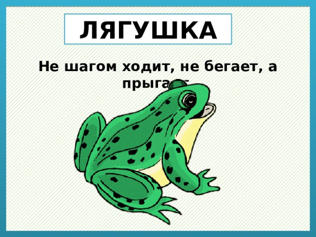 ЛЯГУШКА Не шагом ходит, не бегает, а прыгает. 
