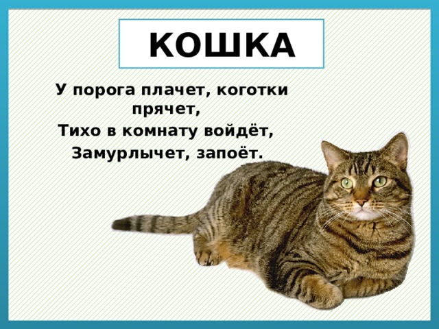 КОШКА   У порога плачет, коготки прячет, Тихо в комнату войдёт, Замурлычет, запоёт.   