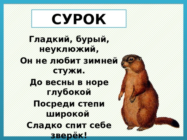 СУРОК Гладкий, бурый, неуклюжий, Он не любит зимней стужи. До весны в норе глубокой Посреди степи широкой Сладко спит себе зверёк! Как зовут его?  