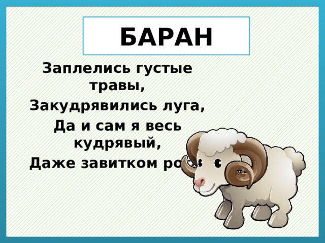 БАРАН Заплелись густые травы, Закудрявились луга, Да и сам я весь кудрявый, Даже завитком рога. 