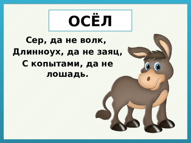 ОСЁЛ Сер, да не волк, Длинноух, да не заяц, С копытами, да не лошадь. 
