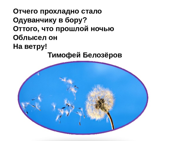 Отчего пpохладно стало   Одуванчику в боpу?   Оттого, что пpошлой ночью   Облысел он   На ветpу!  Тимофей Белозёров 