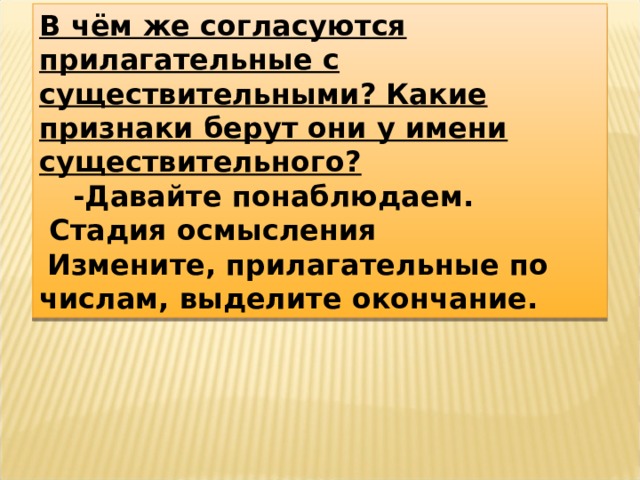 В чём же согласуются прилагательные с существительными? Какие признаки берут они у имени существительного?      -Давайте понаблюдаем.  Стадия осмысления   Измените, прилагательные по числам, выделите окончание. 