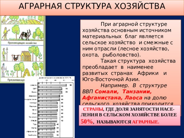  АГРАРНАЯ СТРУКТУРА ХОЗЯЙСТВА   При аграрной структуре хозяйства основным источником материальных благ является сельское хозяйство и смежные с ним отрасли (лесное хозяйство, охота, рыболовство).   Такая структура хозяйства преобладает в наименее развитых странах Африки и Юго-Восточной Азии.   Например. В структуре ВВП Сомали, Танзании, Афганистана, Лаоса  на долю сельского хозяйства приходится более 50%.   СТРАНЫ , ГДЕ ДОЛЯ ЗАНЯТОСТИ НАСЕ- ЛЕНИЯ В СЕЛЬСКОМ ХОЗЯЙСТВЕ БОЛЕЕ 50% , НАЗЫВАЮТСЯ АГРАРНЫЕ. 