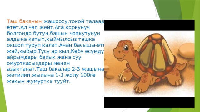 Таш баканын жашоосу,токой талаада өтөт.Ал чөп жейт.Ага коркунуч болгондо бутун,башын чопкутунун алдына катып,кыймылсыз ташка окшоп туруп калат.Анан басышы-өтө жай,кыбыр.Түсү ар кыл.Көбү өсүмдүк айрымдары балык жана суу омурткасыздары менен азыктанат.Таш бакалар 2-3 жашына жетилип,жылына 1-3 жолу 100гө жакын жумуртка тууйт. 