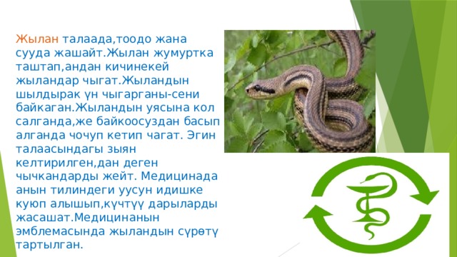 Жылан талаада,тоодо жана сууда жашайт.Жылан жумуртка таштап,андан кичинекей жыландар чыгат.Жыландын шылдырак үн чыгарганы-сени байкаган.Жыландын уясына кол салганда,же байкоосуздан басып алганда чочуп кетип чагат. Эгин талаасындагы зыян келтирилген,дан деген чычкандарды жейт. Медицинада анын тилиндеги уусун идишке куюп алышып,күчтүү дарыларды жасашат.Медицинанын эмблемасында жыландын сүрөтү тартылган. 