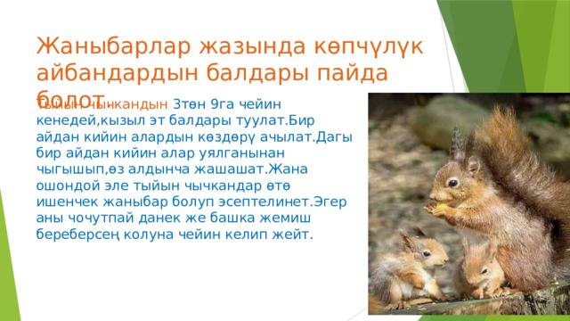 Жаныбарлар жазында көпчүлүк айбандардын балдары пайда болот. Тыйын чычкандын 3төн 9га чейин кенедей,кызыл эт балдары туулат.Бир айдан кийин алардын көздөрү ачылат.Дагы бир айдан кийин алар уялганынан чыгышып,өз алдынча жашашат.Жана ошондой эле тыйын чычкандар өтө ишенчек жаныбар болуп эсептелинет.Эгер аны чочутпай данек же башка жемиш береберсең колуна чейин келип жейт. 