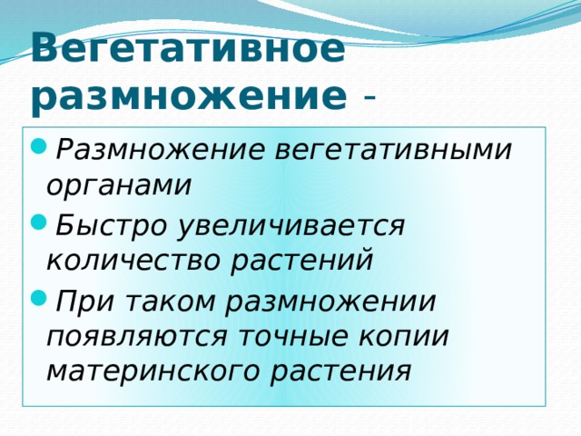 Вегетативное размножение - Размножение вегетативными органами Быстро увеличивается количество растений При таком размножении появляются точные копии материнского растения 