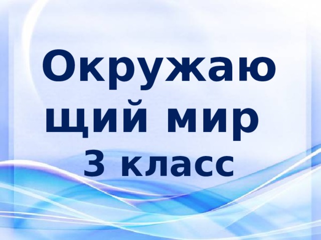 Окружающий мир  3 класс 