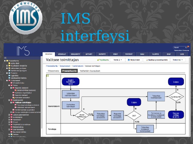 IMS interfeysi 