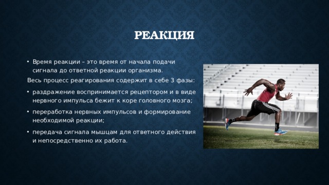Реакция Время реакции – это время от начала подачи сигнала до ответной реакции организма. Весь процесс реагирования содержит в себе 3 фазы: раздражение воспринимается рецептором и в виде нервного импульса бежит к коре головного мозга; переработка нервных импульсов и формирование необходимой реакции; передача сигнала мышцам для ответного действия и непосредственно их работа. 