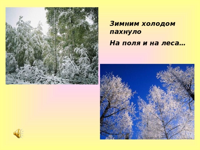 Зимним холодом пахнуло На поля и на леса… 