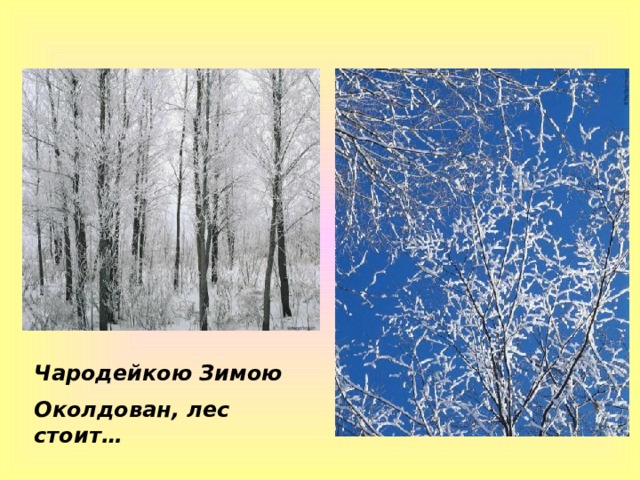 Чародейкою Зимою Околдован, лес стоит… 