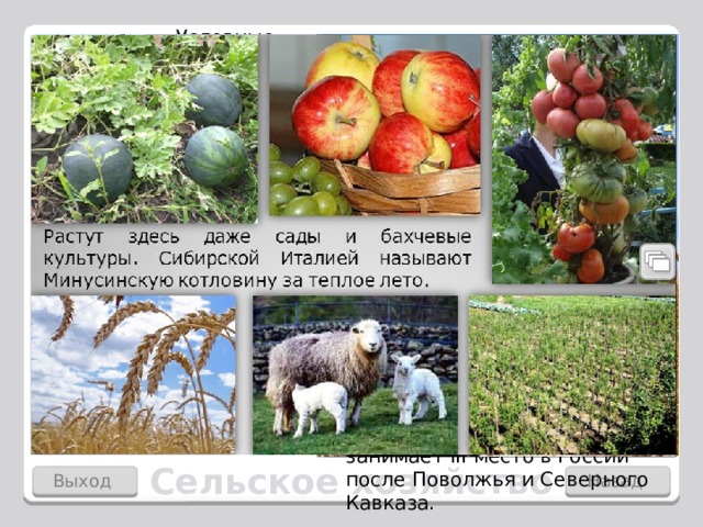 Уровень развития сельского хозяйства невысок. Район производит около 5% с/х продукции страны. Условные знаки С/х угодья составляют около 20% площади района, половина из них – пастбища и сенокосы. Поэтому ведущая отрасль –животноводство. Главные с/х районы расположены на юге. В межгорных котловинах юга расположены островки степей. В горах занимаются овцеводством. По поголовью овец Восточная Сибирь занимает III место в России после Поволжья и Северного Кавказа. 1 2 3 4 Сельское хозяйство Выход Назад  