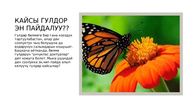 КАЙСЫ ГУЛДОР ЭН ПАЙДАЛУУ?? Гүлдөр бөлмөгө бир гана кооздук тартуулабастан, алар ден соолуктун чың болушуна да өздөрүнүн салымдарын кошушат. Башкача айтканда, бөлмө гүлдөрүн 