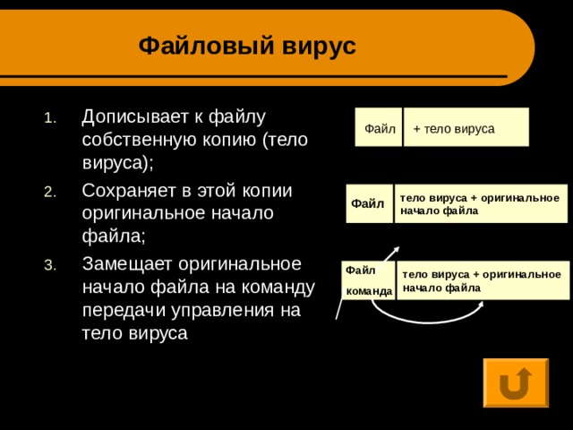 Файловый вирус Дописывает к файлу собственную копию (тело вируса); Сохраняет в этой копии оригинальное начало файла; Замещает оригинальное начало файла на команду передачи управления на тело вируса  Файл + тело вируса тело вируса + оригинальное начало файла Файл Файл команда тело вируса + оригинальное начало файла 