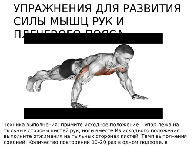 УПРАЖНЕНИЯ ДЛЯ РАЗВИТИЯ СИЛЫ МЫШЦ РУК И ПЛЕЧЕВОГО ПОЯСА Техника выполнения: примите исходное положение – упор лежа на тыльные стороны кистей рук, ноги вместе.Из исходного положения выполните отжимания на тыльных сторонах кистей. Темп выполнения средний. Количество повторений 10–20 раз в одном подходе, в зависимости от уровня подготовленности. 