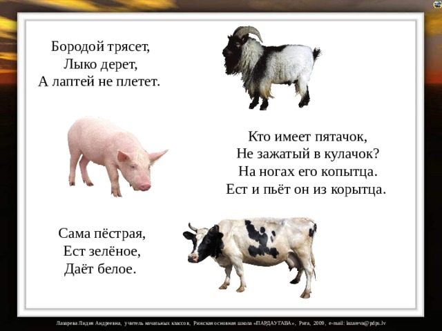 Бородой трясет,  Лыко дерет,  А лаптей не плетет. Кто имеет пятачок,  Не зажатый в кулачок?  На ногах его копытца.  Ест и пьёт он из корытца. На загадки настроены триггеры. Сама пёстрая,  Ест зелёное,  Даёт белое.  