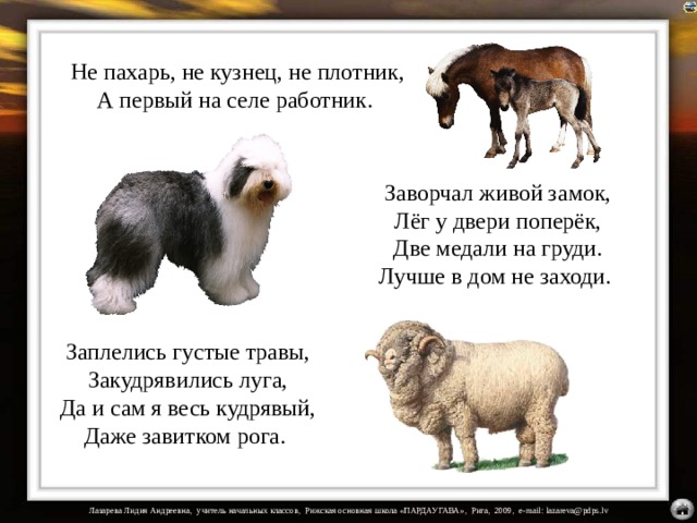 Не пахарь, не кузнец, не плотник,  А первый на селе работник. Заворчал живой замок,  Лёг у двери поперёк,  Две медали на груди.  Лучше в дом не заходи. На загадки настроены триггеры. Заплелись густые травы,  Закудрявились луга,  Да и сам я весь кудрявый,  Даже завитком рога.  